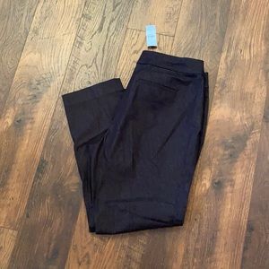 Ann Taylor Factory The Straight Curvy Fit Jeans